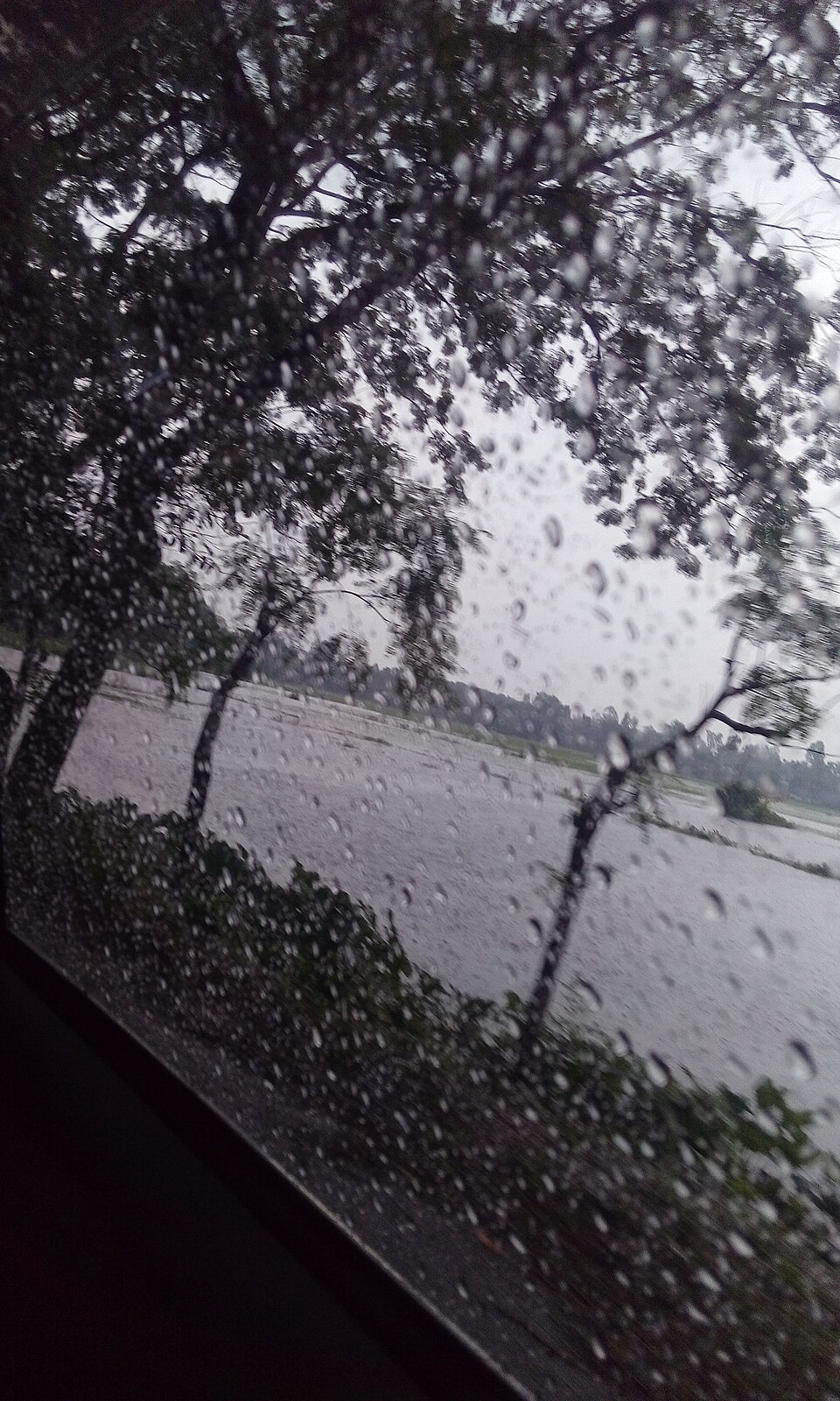 雨中即景 雨中即景